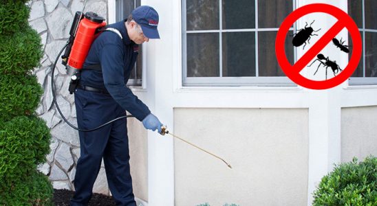 Eceabat Bit İlaçlama böcek ilaçlama ve haşere kontrolü — ilaclama-tr.com